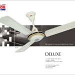 Deluxe Silver Fan