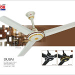 Dubai Silver Fan